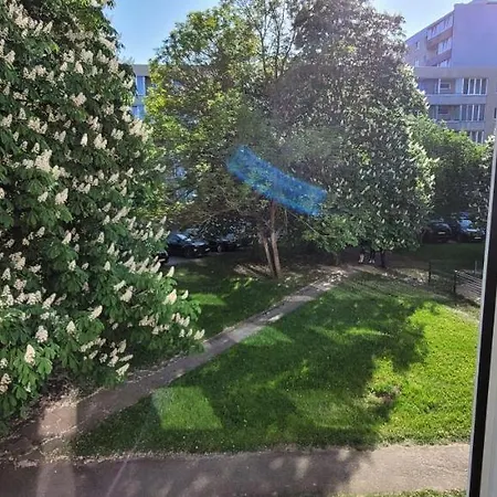 Near The Center And Airport Апартаменти Таллінн